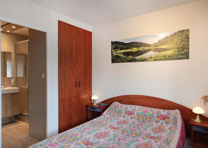 A Gerardmer, Location En Pres Du Lac, Nature Et Detente Appartement Gérardmer