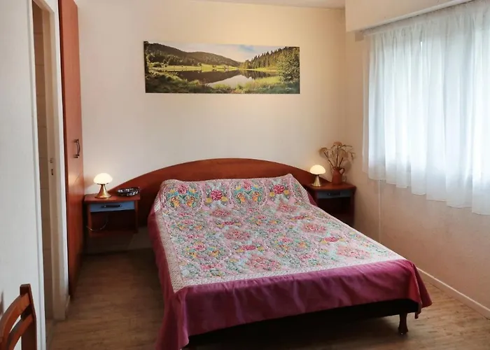 Appartement A Gerardmer, Location En Pres Du Lac, Nature Et Detente *